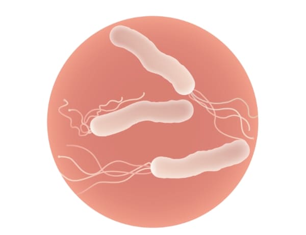 ピロリ菌の検査と除菌